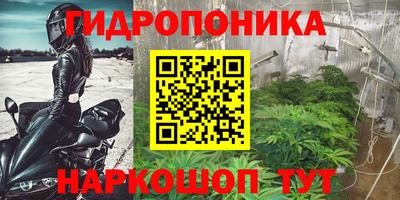 прущая мука Беслан