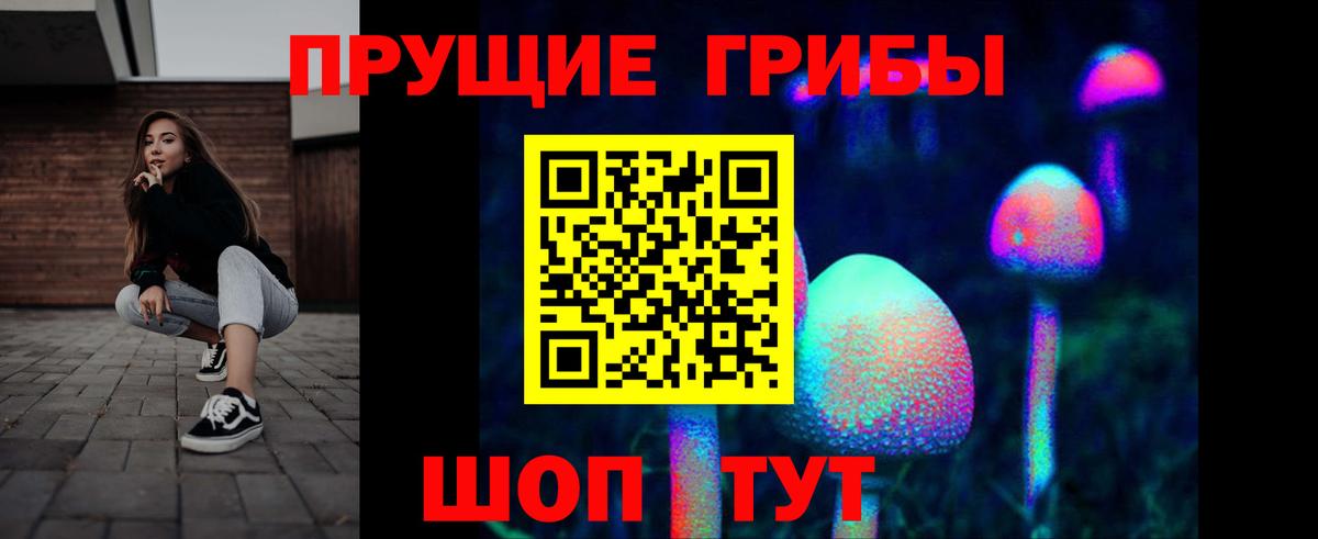 Галлюциногенные грибы Psilocybe Гатчина